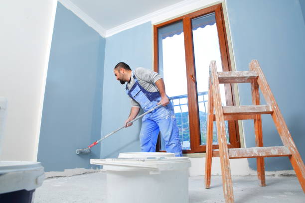 Dehumidification Services in Normandy Park, WA