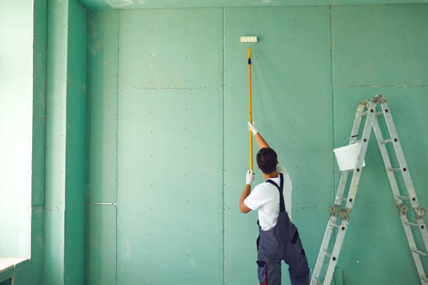 Environmental Consulting for Mold Prevention in Normandy Park, WA