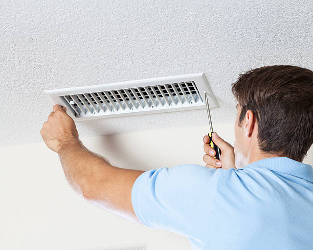 Best Biohazard Mold Removal  in Normandy Park, WA